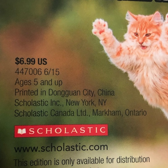 4. piece cat lover gift selection stocking stuffer - Picture 11 of 14